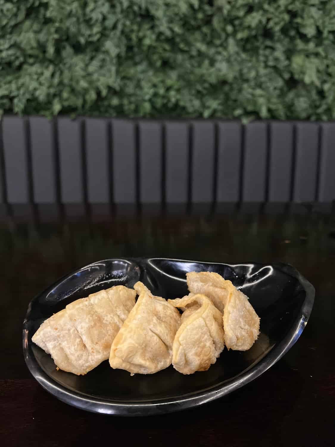 Guioza - Entradas Quentes