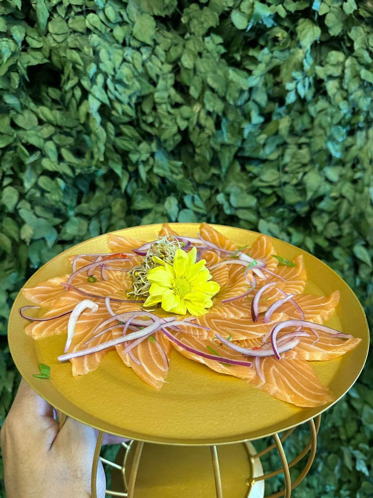 Carpaccio de Salmão - Entradas